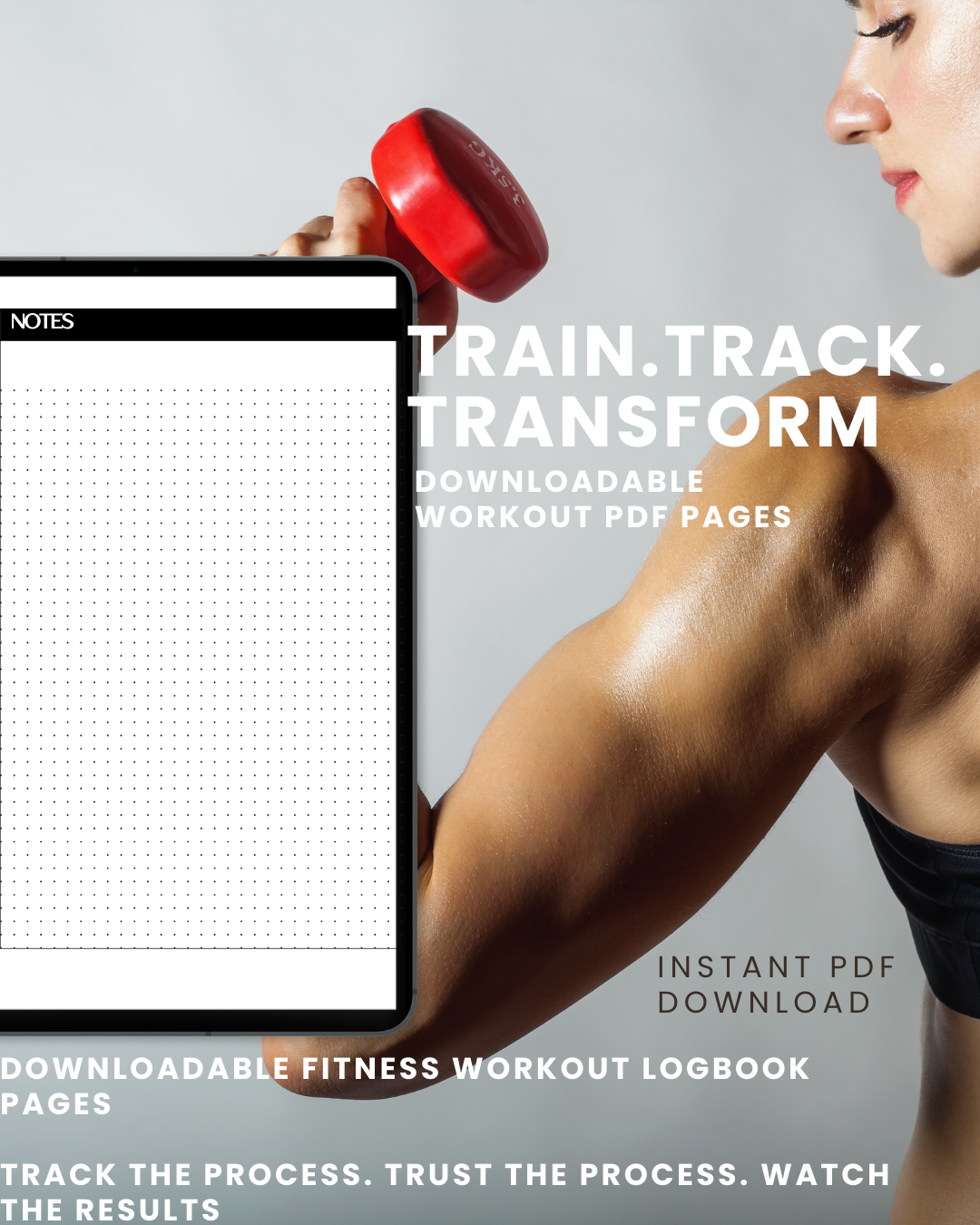 Train. Track. Transform: An Undated Fitness & Workout Logbook for Strength, Focus & Progress (Also available in Black)
