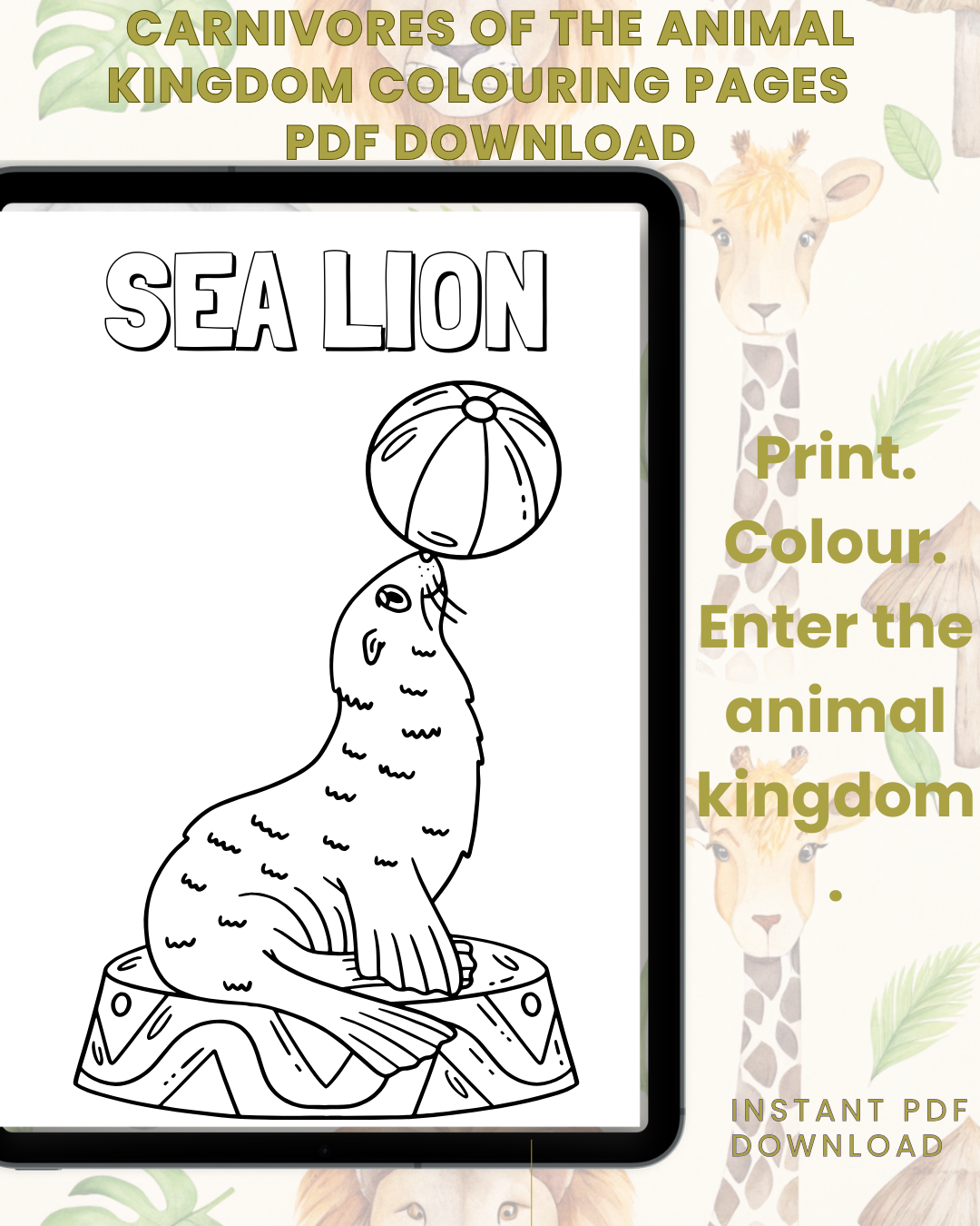 Carnivores In The Animal Kingdom Colouring Book