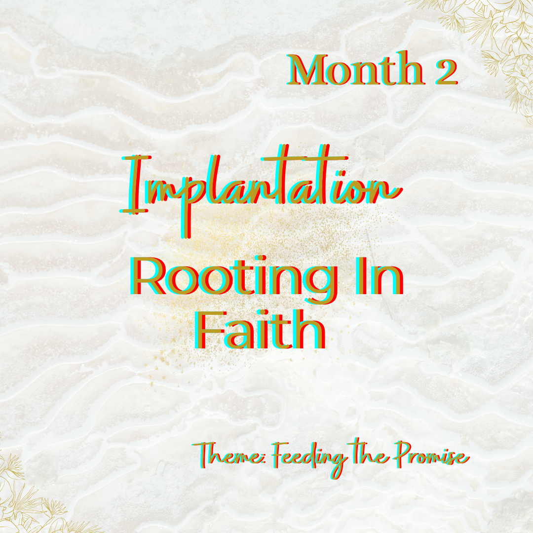 The Birthing the Promise Journal: The 9-Month Journey of Prayer and Expectation for Women