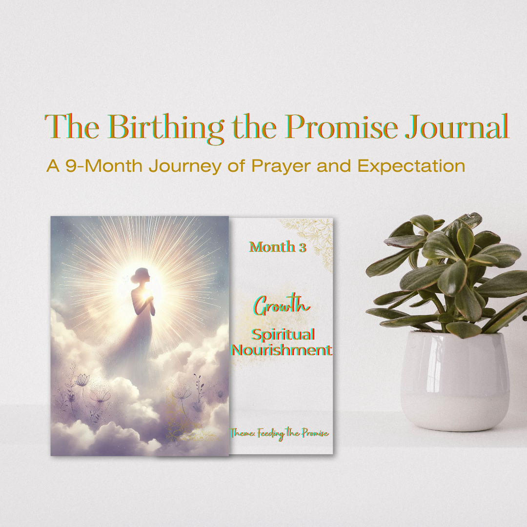 The Birthing the Promise Journal: The 9-Month Journey of Prayer and Expectation for Women