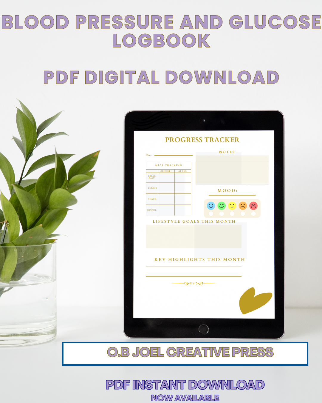 The Blood Pressure & Glucose Logbook