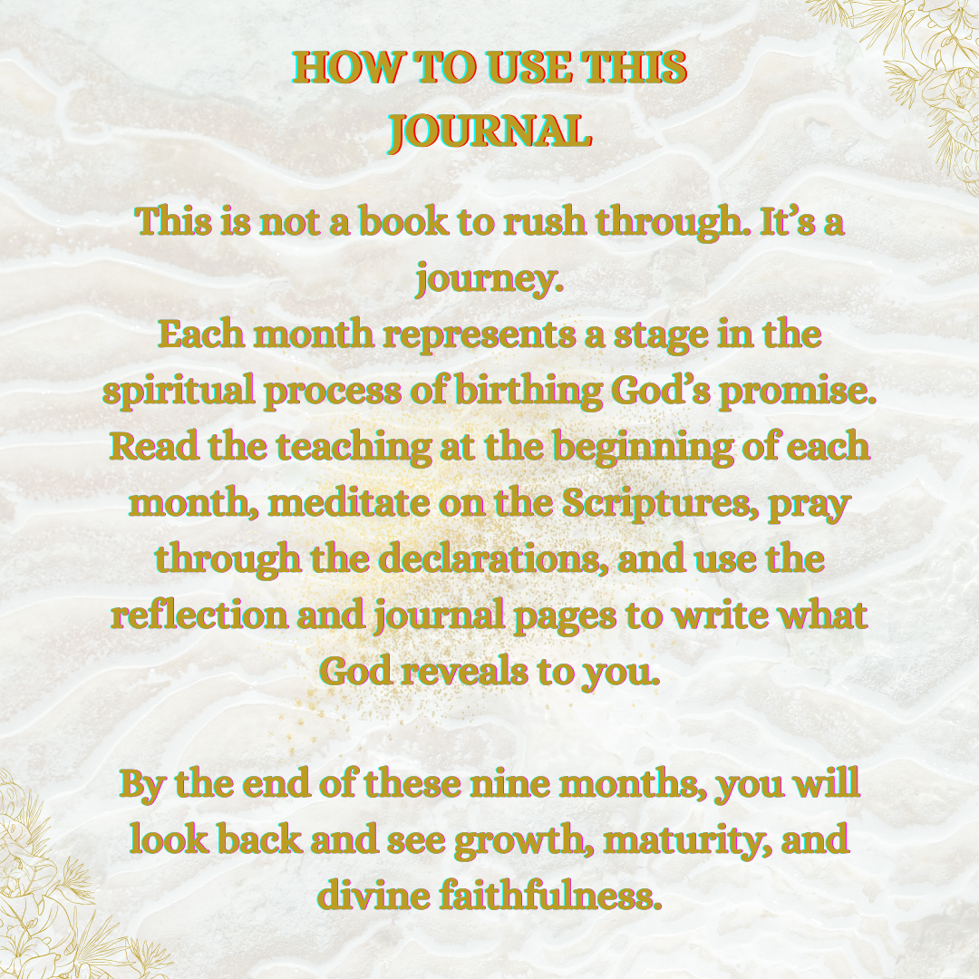 The Birthing the Promise Journal: The 9-Month Journey of Prayer and Expectation for Women