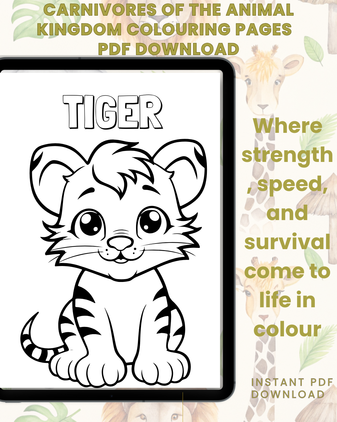 Carnivores In The Animal Kingdom Colouring Book