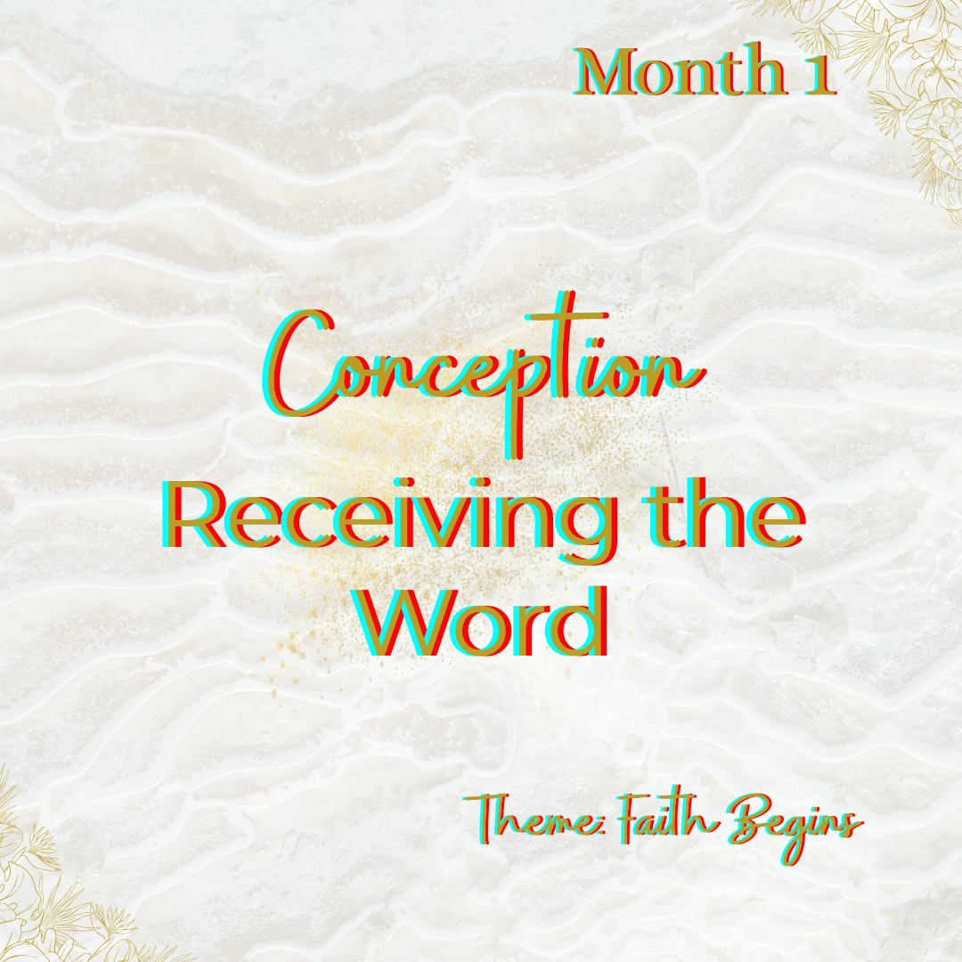 The Birthing the Promise Journal: The 9-Month Journey of Prayer and Expectation for Women