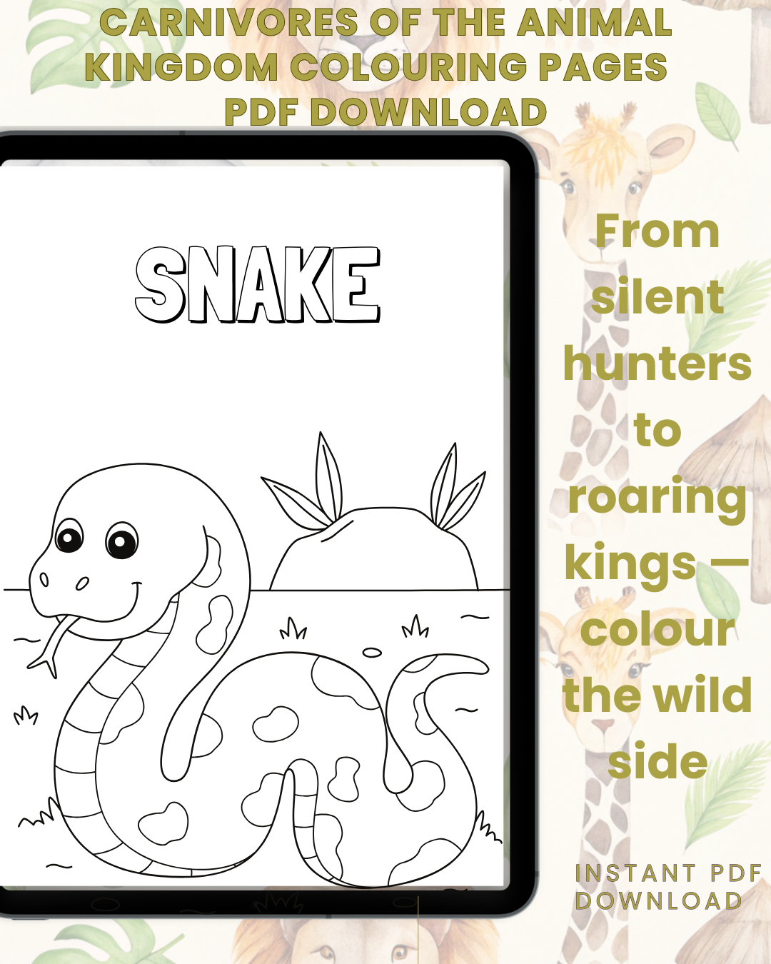 Carnivores In The Animal Kingdom Colouring Book