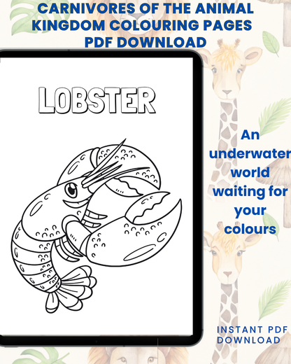 Splash into Colour: An Underwater Adventure Colouring Book