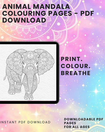 The Animal Mandala Colouring Book