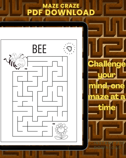 Maze Craze For Kids Ages 4 to 8