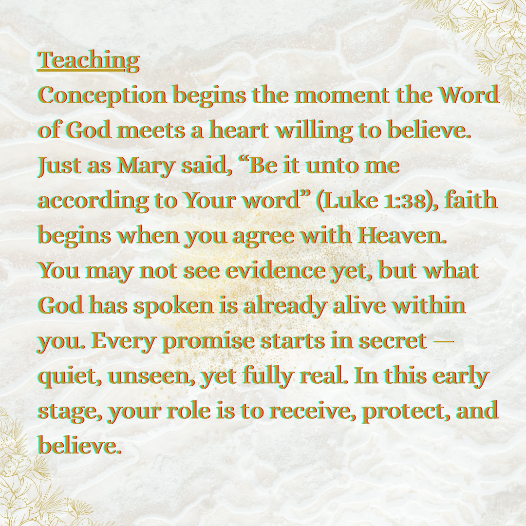 The Birthing the Promise Journal: The 9-Month Journey of Prayer and Expectation for Women