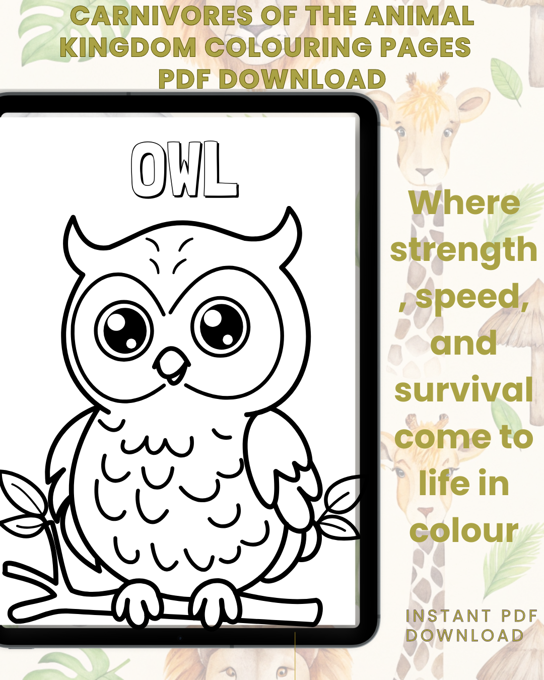 Carnivores In The Animal Kingdom Colouring Book