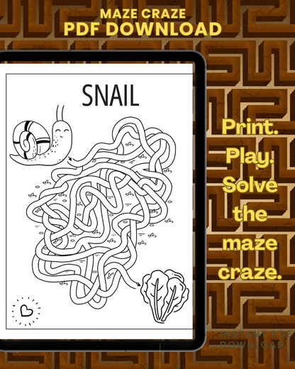 Maze Craze For Kids Ages 4 to 8