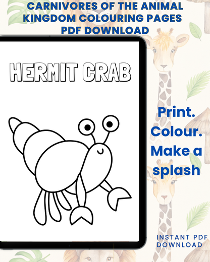Splash into Colour: An Underwater Adventure Colouring Book