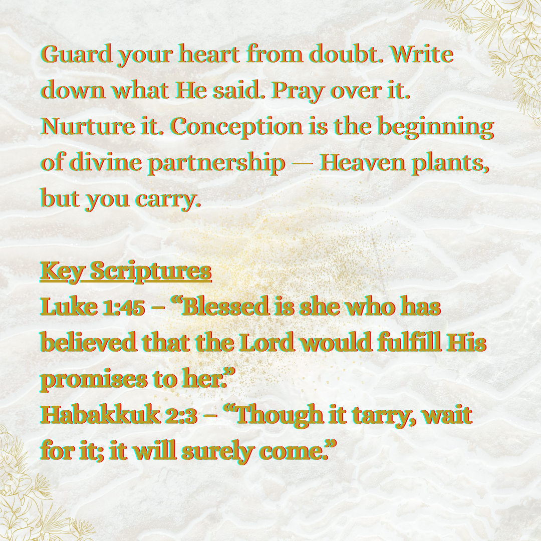 The Birthing the Promise Journal: The 9-Month Journey of Prayer and Expectation for Women