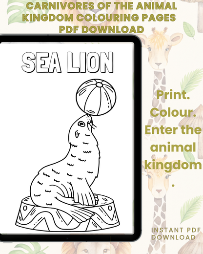 Carnivores In The Animal Kingdom Colouring Book
