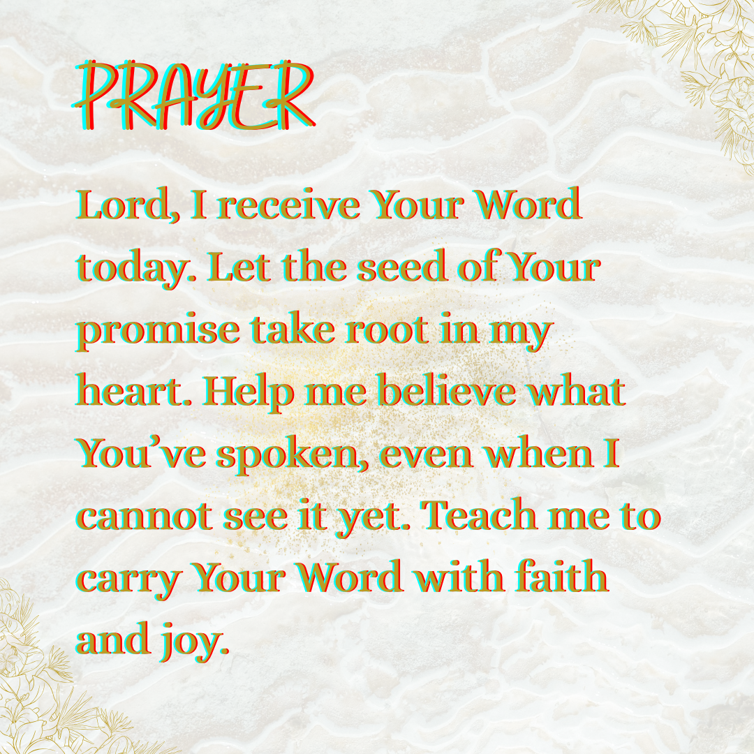 The Birthing the Promise Journal: The 9-Month Journey of Prayer and Expectation for Women