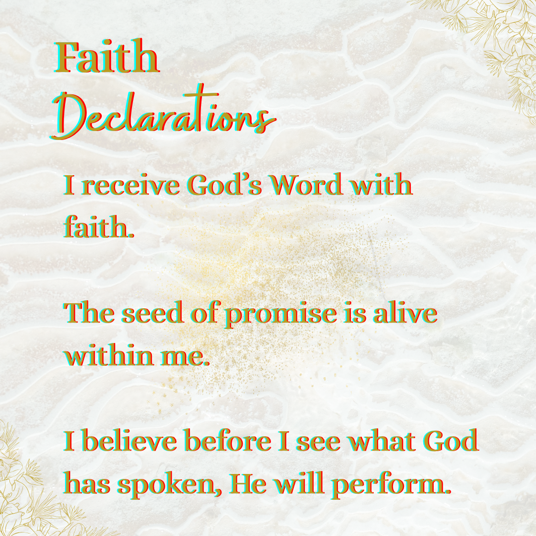 The Birthing the Promise Journal: The 9-Month Journey of Prayer and Expectation for Women