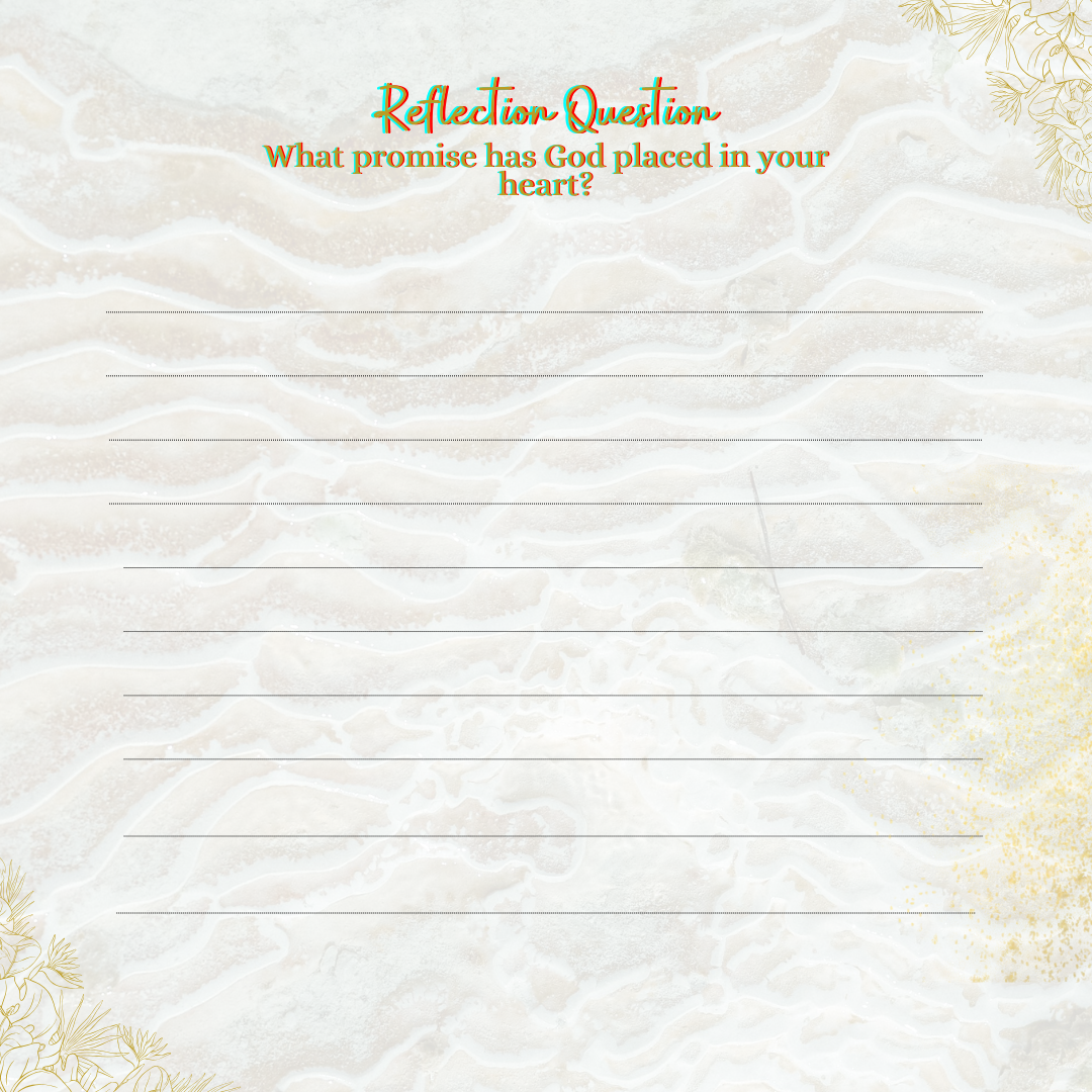 The Birthing the Promise Journal: The 9-Month Journey of Prayer and Expectation for Women